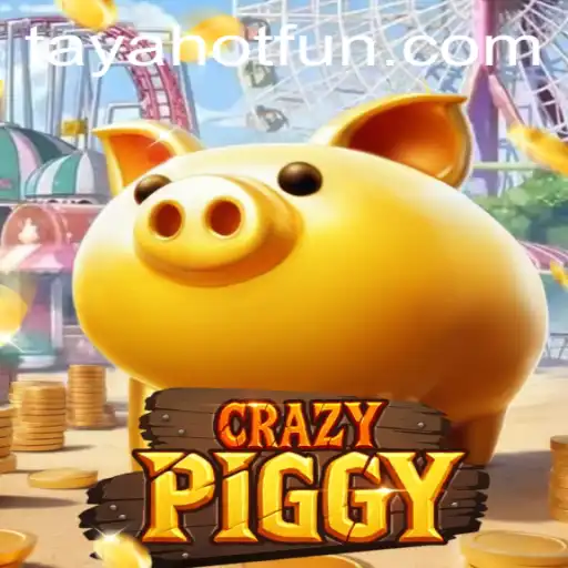 CrazyPiggy: TAYAHOT Adventure Unveiled